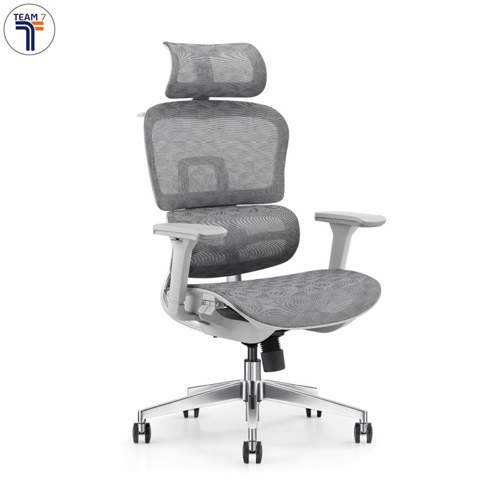 FLEX.GY: High back office chair